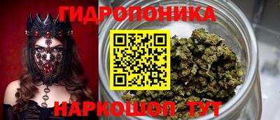 круглые Пушкино