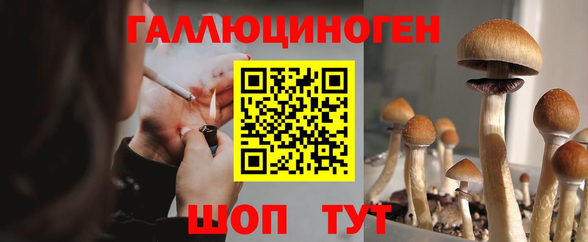 Псилоцибиновые грибы Magic Shrooms  Вход с VPN  Советский 
