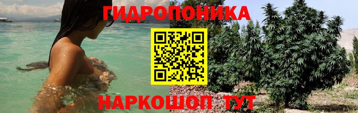 Марихуана MAZAR  Бошки марихуана конопля  Вход с VPN  Советский 